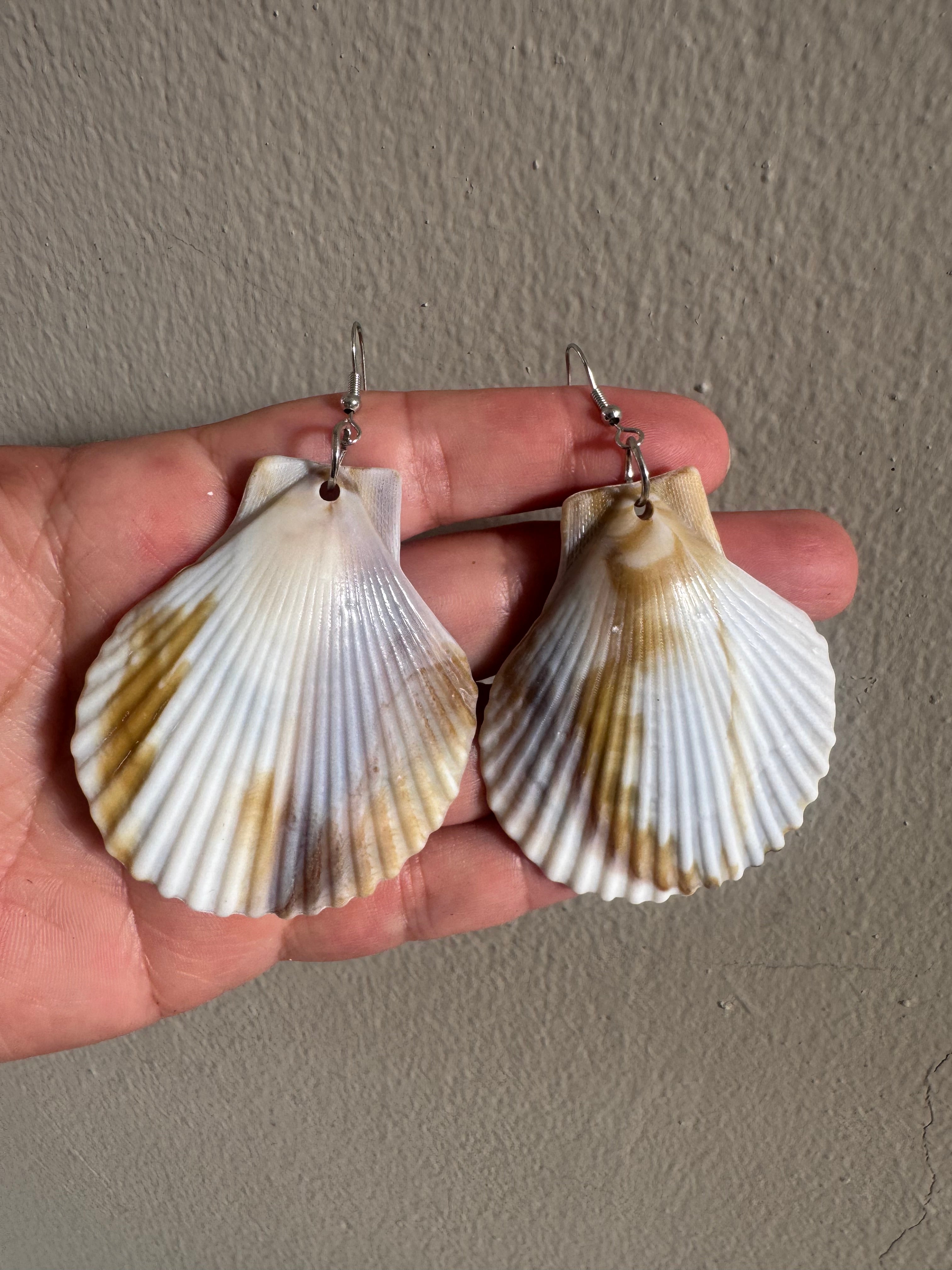 Shell Earrings