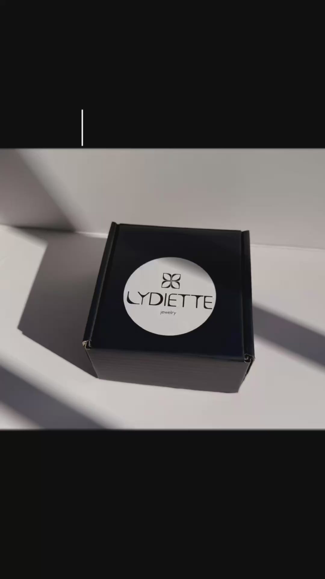 Wholesaler Collection - Ly Box 4